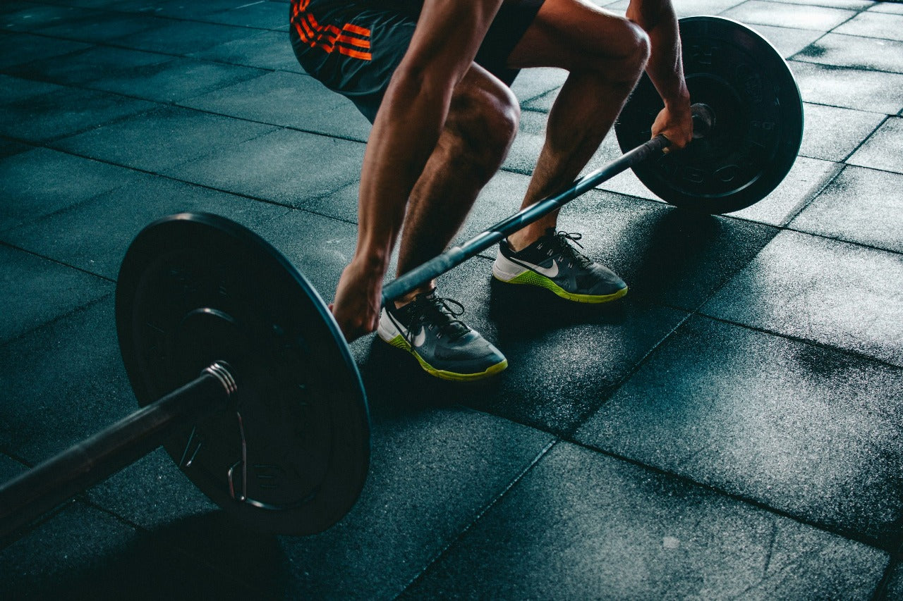 ๐ช Gym & Wellness๐โโ๐งโโ